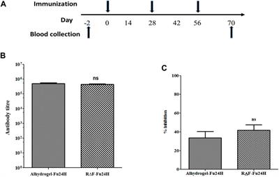 Modified dipeptide based nanospheres as a potent adjuvating delivery system for recombinant vaccines